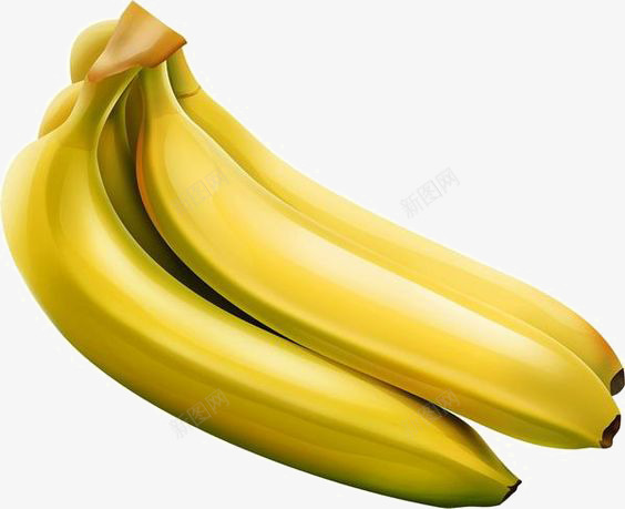 成熟的香蕉png免抠素材_新图网 https://ixintu.com 创意水果 热带水果 进口香蕉 黄色香蕉