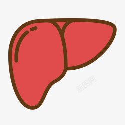 人体图线稿红色手绘肝脏人体器官图标高清图片