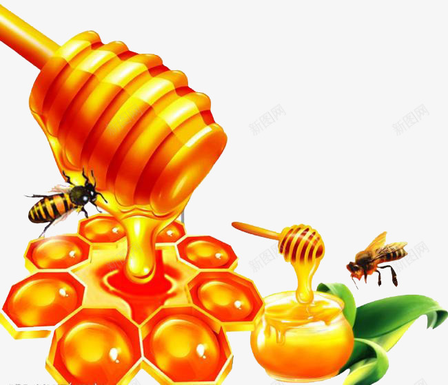 蜂蜜png免抠素材_新图网 https://ixintu.com 天然 浓稠 蜂蜜 蜜蜂