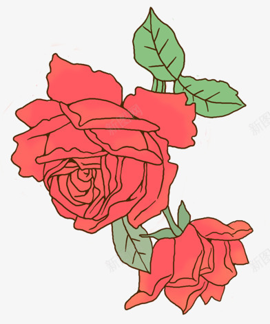 手绘线稿玫瑰png免抠素材_新图网 https://ixintu.com 手绘花朵 粉色花朵 红玫瑰 线稿花朵