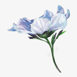 蓝色手绘的鲜艳花朵素材