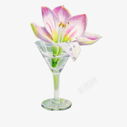 鸡尾酒杯子里的粉色花朵素材