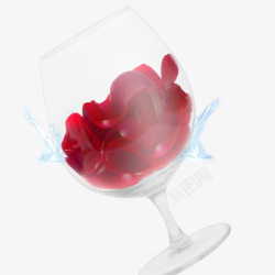 玫瑰花瓣玻璃杯素材