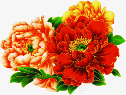 手绘质感鲜艳的红色海棠花素材