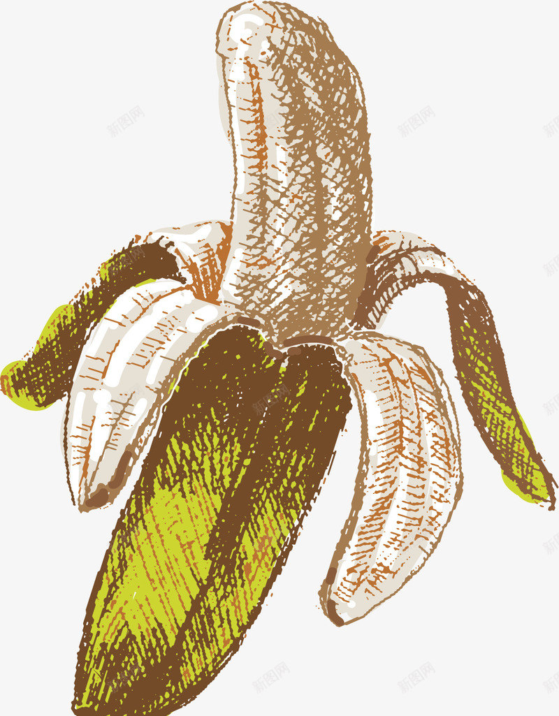 剥皮的香蕉矢量图eps免抠素材_新图网 https://ixintu.com 剥皮香蕉 手绘香蕉 海南香蕉 矢量素材 香蕉 矢量图