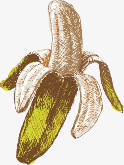 剥皮的香蕉矢量图素材