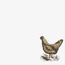 美式贴纸版绘牧场动物大公鸡高清图片