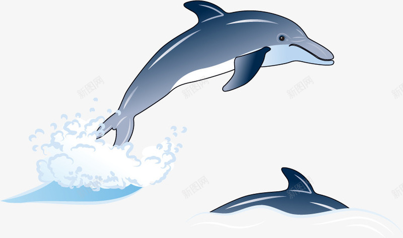 海中的海豚效果元素矢量图ai免抠素材_新图网 https://ixintu.com 元素 效果 海豚 海豚矢量 矢量图