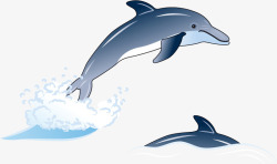 海中的海豚效果元素矢量图素材
