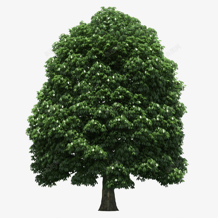 绿色的树木踏青季png免抠素材_新图网 https://ixintu.com 绿色的树木 踏青季