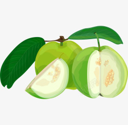 动漫石榴果子卡通手绘绿色的番石榴高清图片