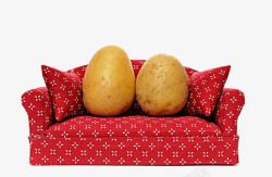 红色沙发上的土豆素材
