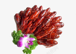 印尼花龙虾龙虾配花高清图片