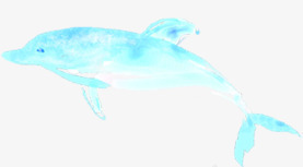 蓝色海豚背景png免抠素材_新图网 https://ixintu.com 海豚 素材 背景 蓝色