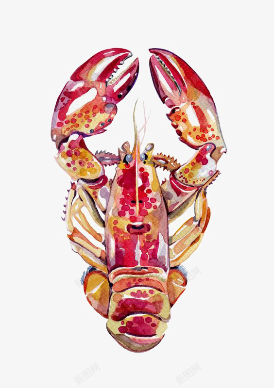 龙虾png免抠素材_新图网 https://ixintu.com 卡通 大龙虾 手绘 料理 食物