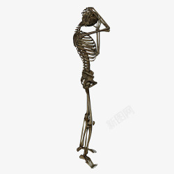 人体造型黑色造型装饰人体骨骼装饰图高清图片