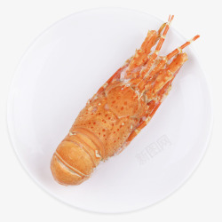 红色海虾进口龙虾高清图片