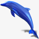 海豚暗玻璃素材