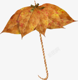 澶部阆创意树叶雨伞高清图片