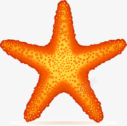 手绘海星矢量图素材