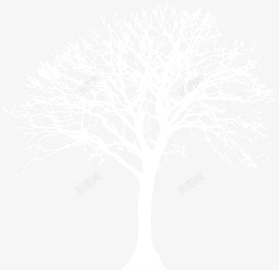白色创意扁平风格造型树木png免抠素材_新图网 https://ixintu.com 创意 扁平 树木 白色 造型 风格