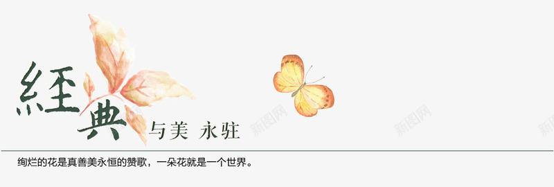 花png免抠素材_新图网 https://ixintu.com 植物 经典 花 花朵 装饰图案