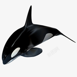 深色卡通装饰海豚素材