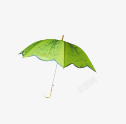 绿伞伞高清图片