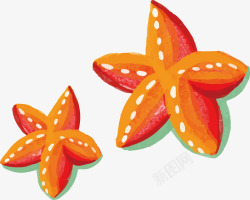 海里海星橘红色手绘海星矢量图高清图片