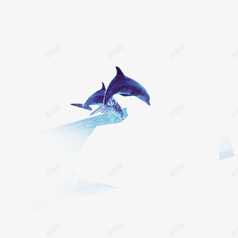 海豚psd免抠素材_新图网 https://ixintu.com 平面设计素材 海报设计素材 海豚 设计素材