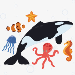 海洋哺乳动物手绘海洋动物高清图片