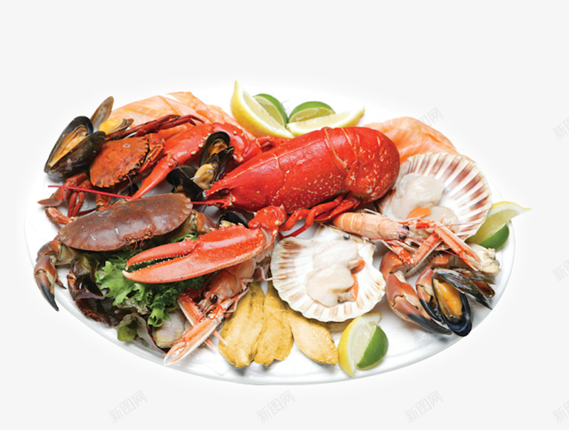新鲜海鲜png免抠素材_新图网 https://ixintu.com 海贝 海鲜 海鲜大咖 食物 龙虾