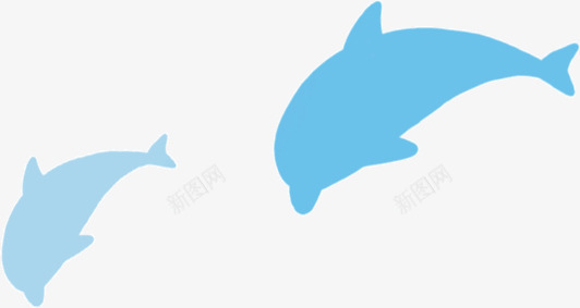 卡通海豚图案png免抠素材_新图网 https://ixintu.com 卡通 海洋 海豚