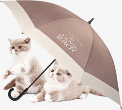 雨伞猫咪素材