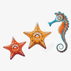精美海星与海螺素材