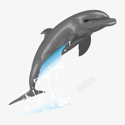 飞腾可爱飞腾的卡通海豚矢量图高清图片