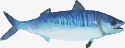 卡通水彩蓝色的鱼素材