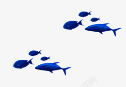 深蓝色海豚热带鱼装饰图案素材