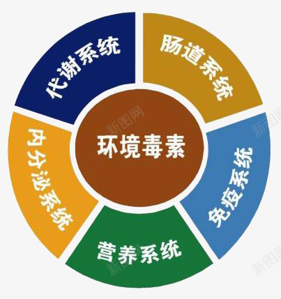 饼状图png免抠素材_新图网 https://ixintu.com 人体系统 分类 环境毒素 饼状图