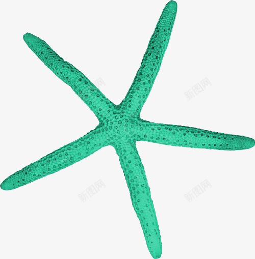 绿色海星png免抠素材_新图网 https://ixintu.com PNG图形 海产品 海星 绿色 装饰