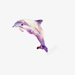 海豚彩绘素材