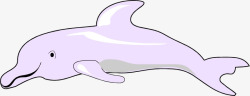 粉色海豚素材