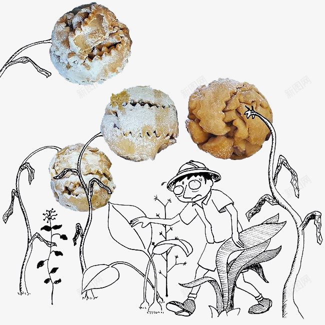 厨房幽默故事之食人花png免抠素材_新图网 https://ixintu.com 厨房 幽默故事 插图 植物 甜品 男孩 简笔画 美食 食人花
