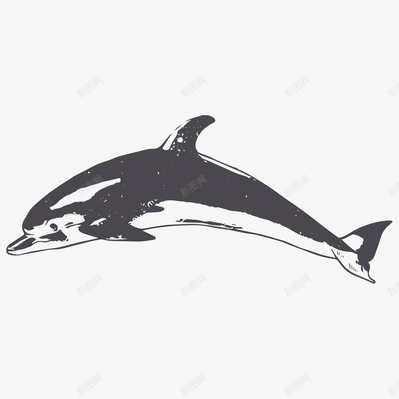 卡通手绘黑色的海豚png免抠素材_新图网 https://ixintu.com 创意 动漫动画 卡通海豚 可爱的海豚 手绘 黑色的海豚