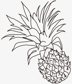 黑色菠萝线描菠萝高清图片