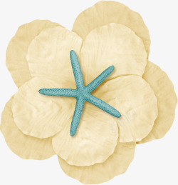 躺着海星的花瓣素材