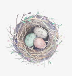 彩色的鸟蛋卡通手绘彩色的鸟蛋高清图片