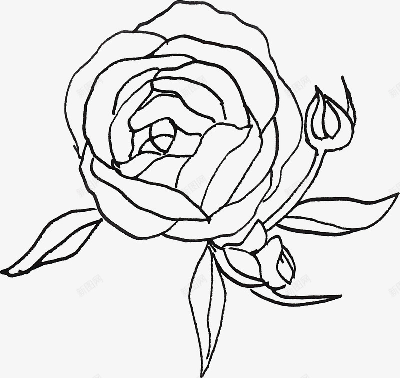 线描花朵图标png_新图网 https://ixintu.com 线描植物 线条 花卉 黑色