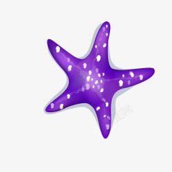 不明物矢量海星的紫色不明物高清图片