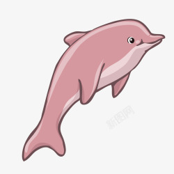 粉色海豚素材